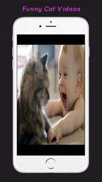 Funny Cat Videos screenshot 3