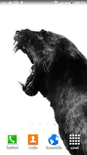 Panther Wallpaper screenshot 2