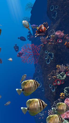 OCEAN AQUARIUM Live Wallpaper FREE screenshot 21