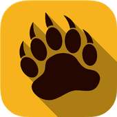 New TunnelBear VPN Review