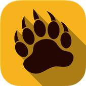 New TunnelBear VPN Review 1.1