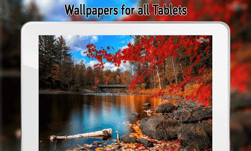Autumn Wallpaper (4k) screenshot 3