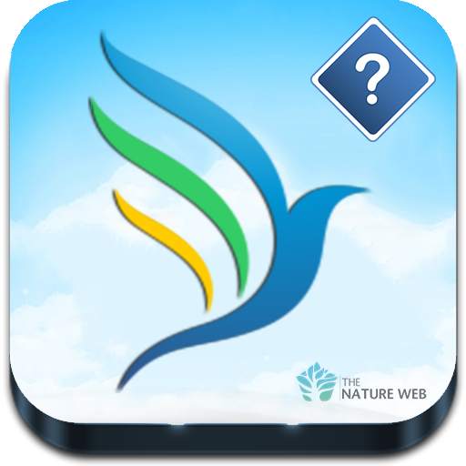 Guess the Bird - Photo Quiz 2.0
