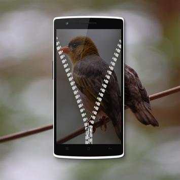 Bird Zipper Lock Screen screenshot 4