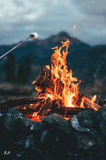 Bonfire Live Wallpaper screenshot 2
