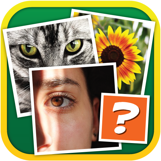 4 Pics 1 Odd icon