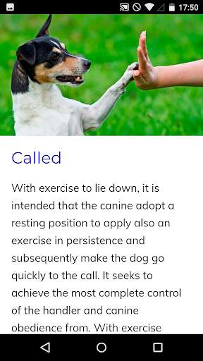 Canine Training Course screenshot 4
