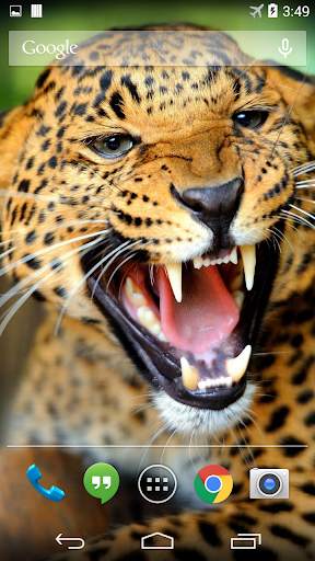 Leopard Live Wallpaper FREE screenshot 1
