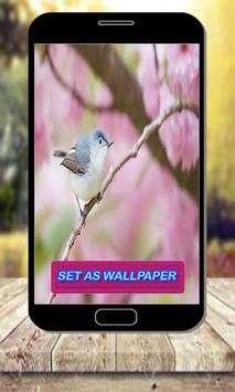 Pair Of Birds Wallpapers – Birds Couple Wallpapers स्क्रीनशॉट 4