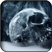 Skull Wallpapers icon