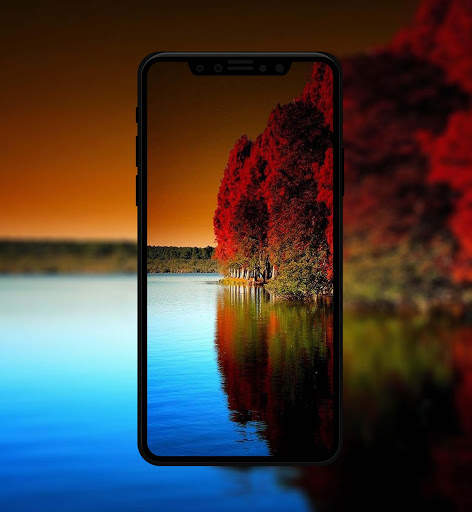 Autumn Wallpaper & Background screenshot 3