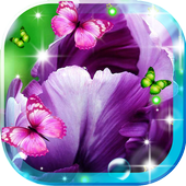 Iris Music Live Wallpaper icon
