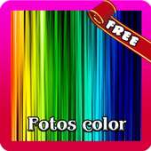 New Foto Color Editor logo