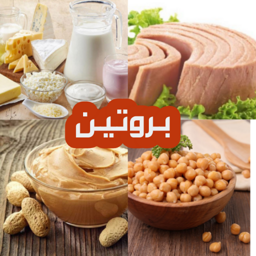 Protein-rich recipes (plant and animal) icon