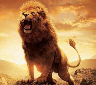 Lions Sounds live wallpaper screenshot 5