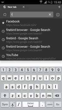 Firebird Browser Pro superFast screenshot 3