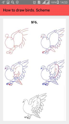 How to draw birds. Scheme screenshot 7