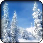Snowfall Wallpapers 5.0