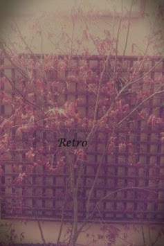 Camera Filter Free screenshot 2