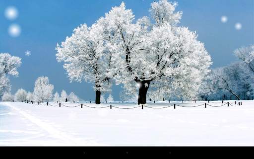 Snow Season Live Wallpaper screenshot 5
