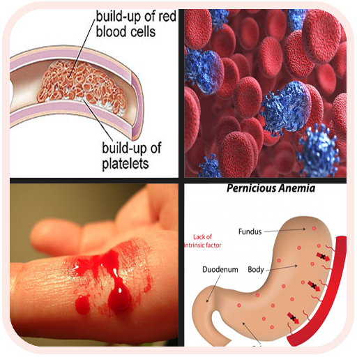 All Blood Disease &amp; Treatment icon