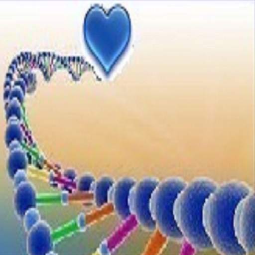 DNA Positivo 77.0