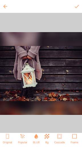 Blur Image Background screenshot 7