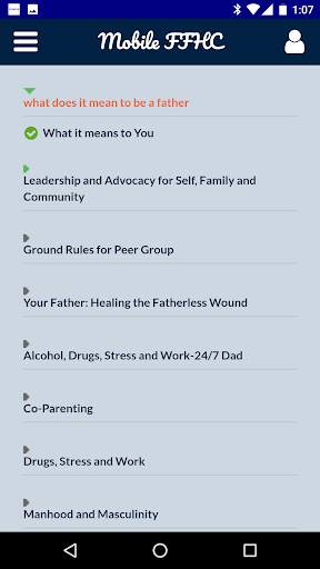 FFHC screenshot 2