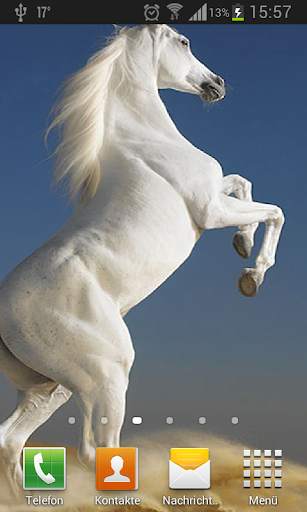 Horses Live Wallpaper screenshot 2
