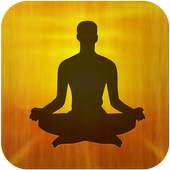 Ayurveda 1.1