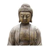 Buddha Quotes on 9Apps