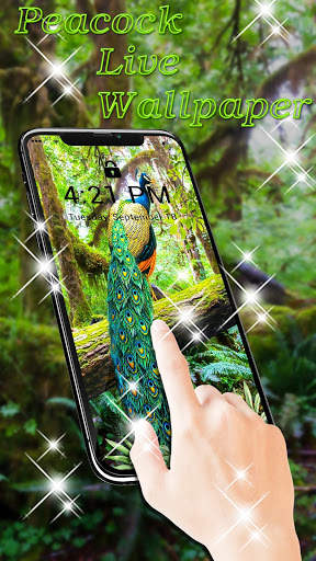 Peacock APUS Live Wallpaper screenshot 2