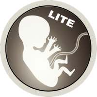 Gravidez ao Vivo LITE logo