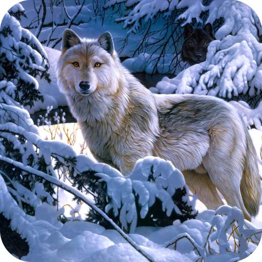 Wolf Wallpaper HD 1.08