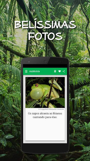 Curiosidades Animais Incríveis screenshot 4