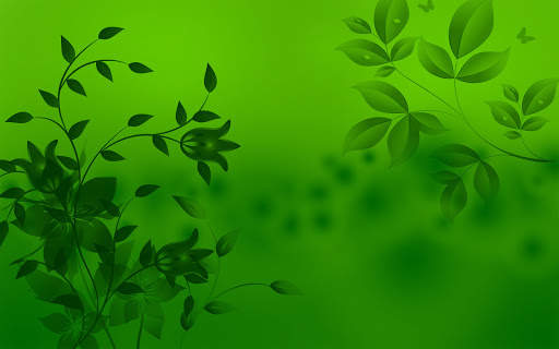 Green Wallpapers | hd backgrounds screenshot 21