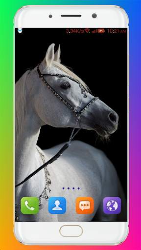 Horse Wallpaper HD screenshot 10