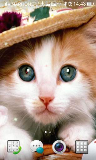 Cat Live Wallpaper HD 4K screenshot 8