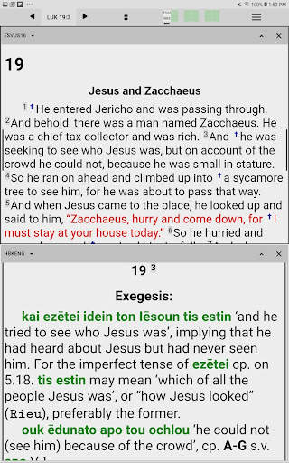 Paratext Lite screenshot 6