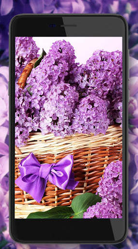 Lilac Flower Magic Live Wallpaper screenshot 4