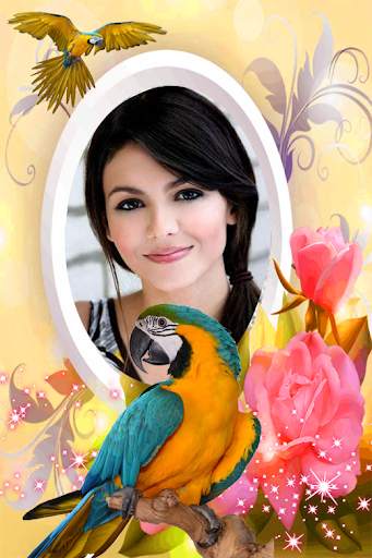 Bird Photo Frame 2022 screenshot 2