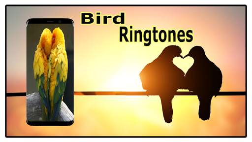 Bird Sounds Ringtones Free screenshot 1
