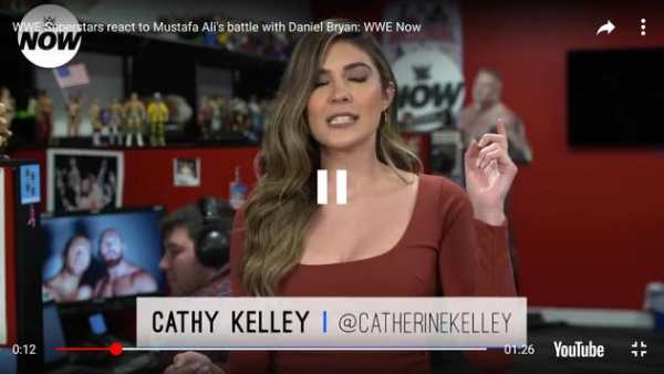 WWE Highlights स्क्रीनशॉट 3