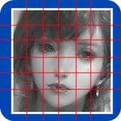 Grid Draw Lite 10.1