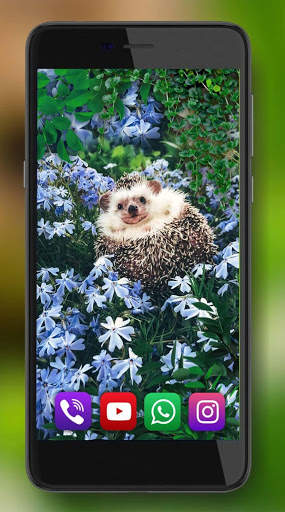 Hedgehogs Forest Live Wallpaper screenshot 2