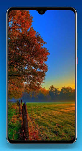 Nature Wallpaper HD screenshot 13