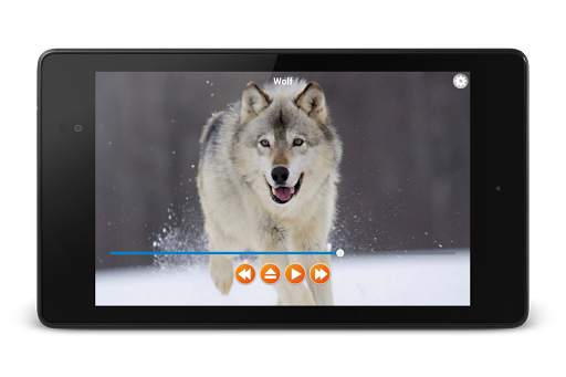 Animal Sounds Free Offline screenshot 9