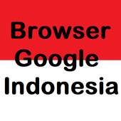 Browser Google Indonesia 9.1
