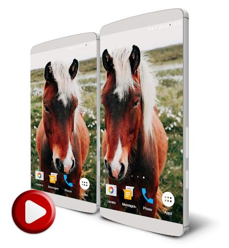 Horses Video Live Wallpaper screenshot 1