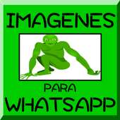 Imágenes para whatsapp